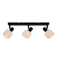 Потолочный светильник Zuma Line R5021009A-3B Stem