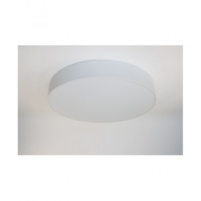 Накладний світильник FrendlyLight FL2032 Mono R40 LED 50W 4000K White
