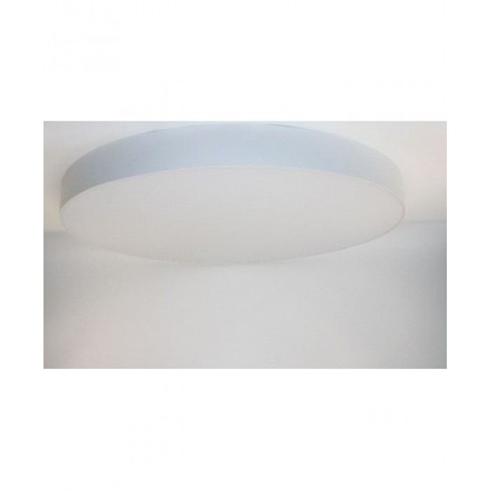 Накладний світильник FrendlyLight FL2039 Mono R80 LED 120W 3000K White