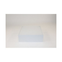 Накладний світильник FrendlyLight FL2046 Mono S17 LED 15W 4000K White