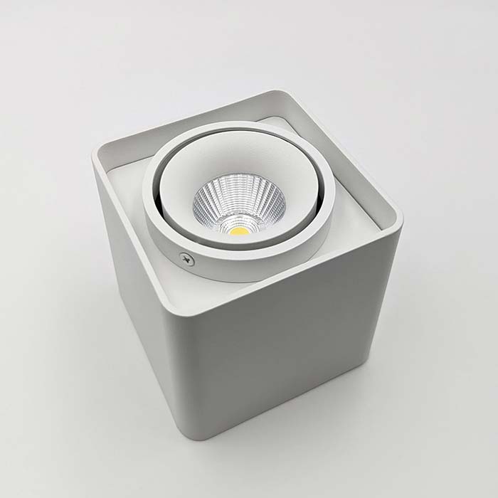 Точковий світильник Skarlat RSLC78004 10W WH 3000K Eyes Точковий світильник Skarlat RSLC78004 10W WH 3000K Eyes