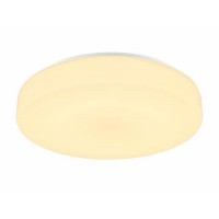 Потолочный светильник SLV 1002077 Lipsy 50