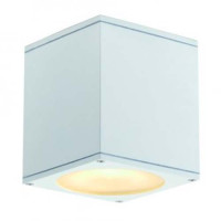 Стельовий світильник SLV 229551 Big Theo Ceiling Out