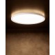 Світильник стельовий Kanlux 31514 Azpo LED 1x18.5W 3000K/4000K/6000K 1800Lm IP54 білий