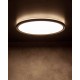 Світильник стельовий Kanlux 31517 Azpo LED 1x22W 3000K/4000K/6000K 2700Lm IP54 чорний