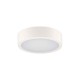 Світильник стельовий Kanlux 39020 Daber LED 1x8W/13W 3000K/3500K/4000K 1510Lm IP66 білий