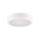 Світильник стельовий Kanlux 39024 Daber LED 1x12W/20W 3000K/3500K/4000K 2630Lm IP66 білий