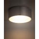Світильник стельовий TK Lighting 11476 Livo S E27 2x15W IP54 хром
