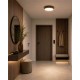 Світильник стельовий TK Lighting 18281 Velis LED 1x24W 3000K/4000K/5500K 1000Lm IP54 коричневий