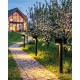 Вуличний світильник Kanlux 46204 Radilo GU10 1x11W IP44 чорний