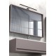 Светильник подсветка для зеркала Goldlux 328588 Samos LED 1x8W 4000K 900Lm IP44 черный Светильник подсветка для зеркала Goldlux 328588 Samos LED 1x8W 4000K 900Lm IP44 черный