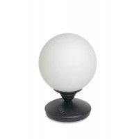 Настільна лампа NB LIGHT 40100-cl116-pla473-cp218
