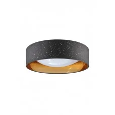 Потолочный светильник GOLDLUX 323149 TULUZA
