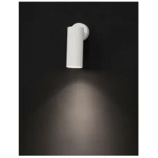 Спот Nova Luce 821602 Dexter