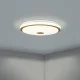 Люстра Eglo 900599 LANCIANO 1 ceiling light, 35 Вт, 4000 лм, 3000K, 4000K, 5000K