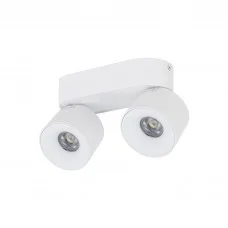 Спот TK Lighting 18171, 10 Вт, 965 лм, 3000К-6000К