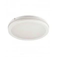 Вуличний світильник Kanlux 38386 Beno Eco LED 1x40W 3000K/4000K/6500K 4050/4600/4450Lm IP65 білий