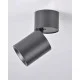 Светильник поворотный, спот Goldlux 314079 Astra GU10 1x10W IP20 черный