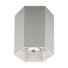 Zuma Line 20067-AL POLYGON CL 1L