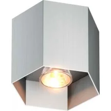 Zuma Line 20035-AL POLYGON CL 1L