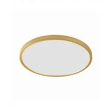Светильник потолочный Zuma Line WM-BP1108-L-G Cami Led 1x48W 3000K/4000K/6000K 4297Lm IP20