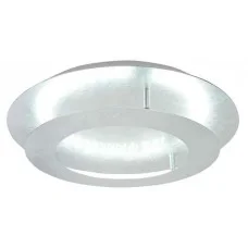 Потолочный светильник Candellux 98-66206 MERLE