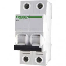 Автоматичний вимикач Schneider Electric iK60 2P 6A C, A9K24206
