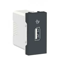 USB розетка Schneider Electric NU342854 1М (антрацит)