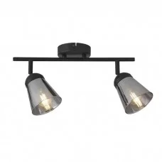 Спот Searchlight 61170-2SM 2LT