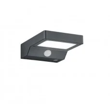 Reality R22281142 Fomosa