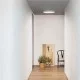 Стельовий світильник Ideal Lux 318264 Ray pl d40