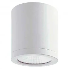 Світильник Indeluz 805A-L3315A-01 Buis