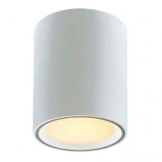 Світильник Nordlux 47550101 Fallon