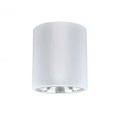 Точковий світильник Goldlux 307187 Jupiter E27 1x20W IP20 білий