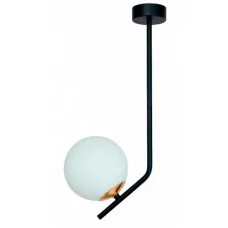Jupiter 1731 Tim