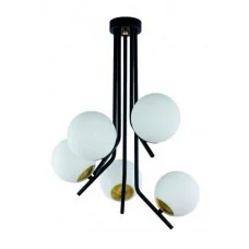 Jupiter 1733 Tim