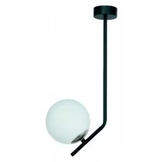 Jupiter 1735 Tim