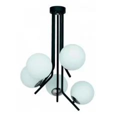 Jupiter 1737 Tim