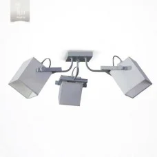 Light Наоми 19811