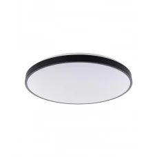 Потолочный светильник Nowodvorski 10975 Agnes Round LED Pro 1x64W 3000K 5600Lm IP44 черный