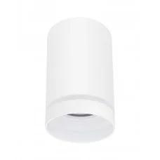 Точковий світильник Goldlux 319883 Fabri GU10 1x10W IP20 білий Точковий світильник Goldlux 319883 Fabri GU10 1x10W IP20 білий