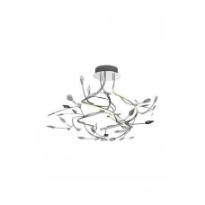 Zuma Line PL170511-3 BELLA