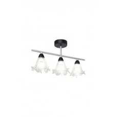 Люстра Nb Light 80488-cl123-pla39-cp028 Edel