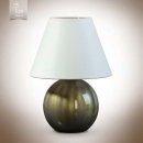 Настольная лампа N&B Light 17300