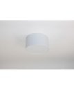 Накладной светильник FrendlyLight FL2019 Mono R12 LED 10W 3000K White