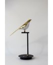 Настольная лампа FrendlyLight FL8024 Bird TL-1